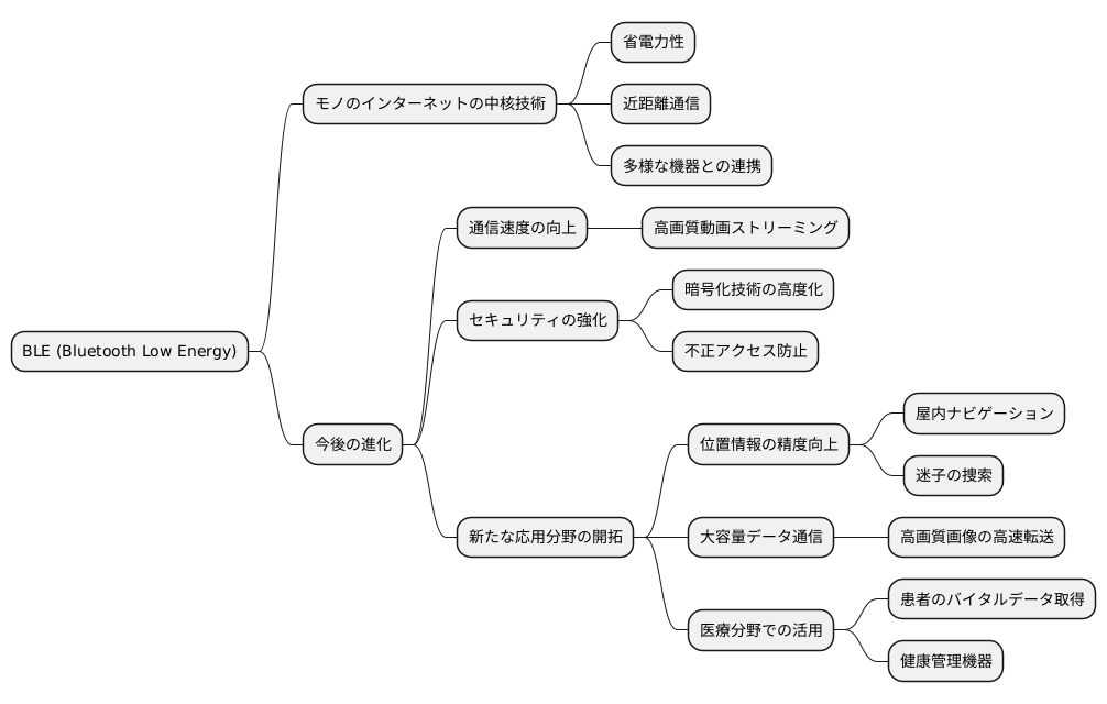 今後の展望と期待