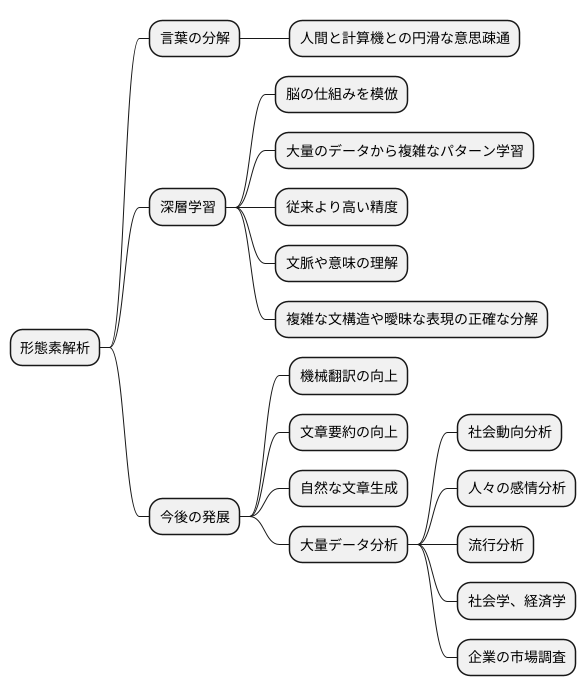 今後の展望