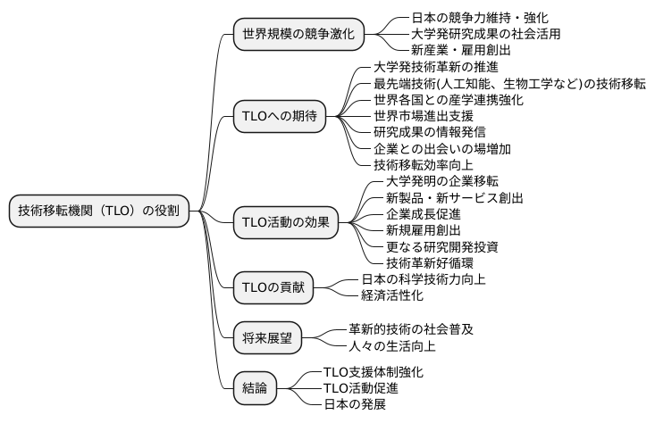 今後の展望と期待