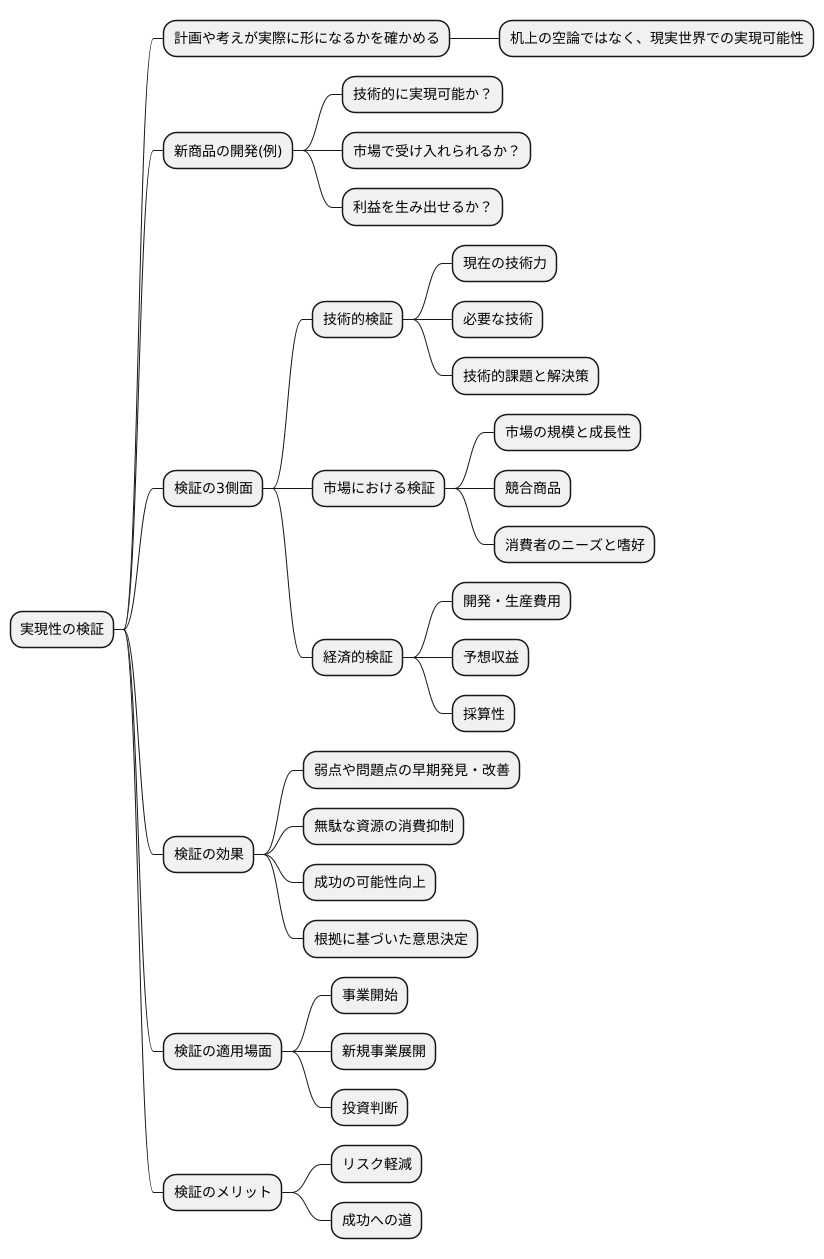 実現性の検証とは