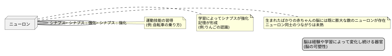 学習と記憶