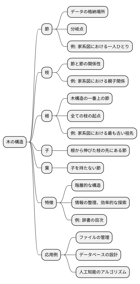 木の構造