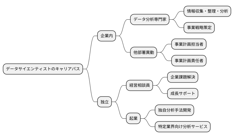 データサイエンティストのキャリアパス