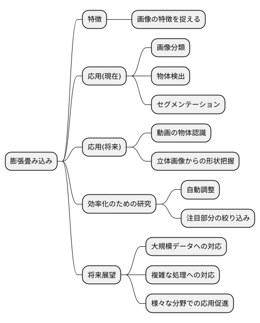 今後の展望