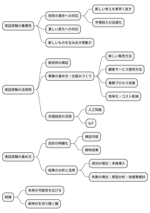 今後の展望