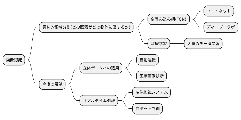 発展と今後の展望