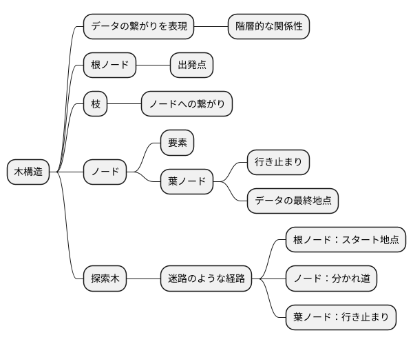 木の構造